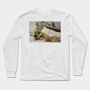 Closeup of Small Desert Wildflowers Long Sleeve T-Shirt